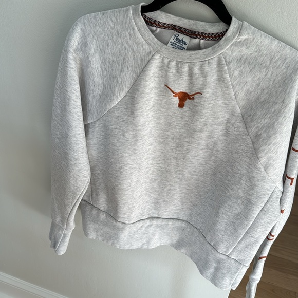 Embroidered Texas Longhorn, gray sweater - Picture 2 of 5